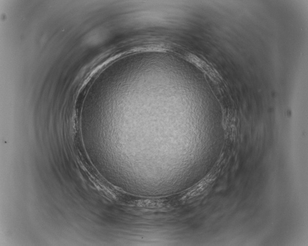 X0000085220338200703231538