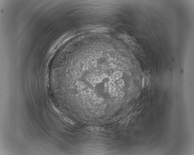 X0000085220339200703231538