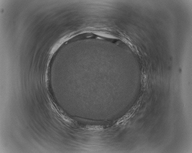 X0000085220340200703231538