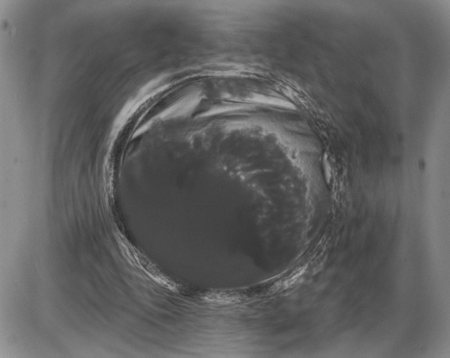 X0000085220343200703231538