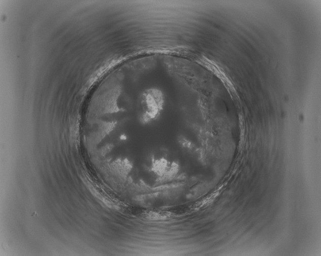 X0000085220346200703231538