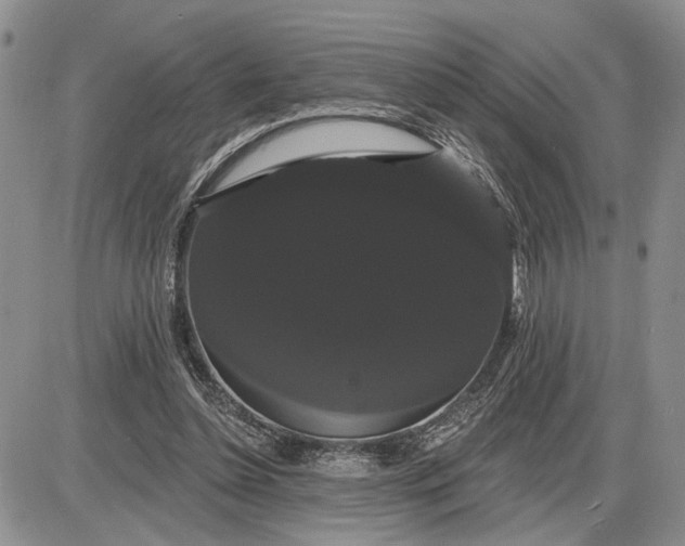 X0000085220348200703231538