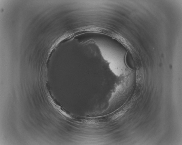 X0000085220349200703231538