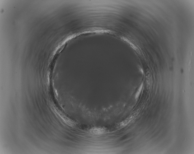 X0000085220350200703231538