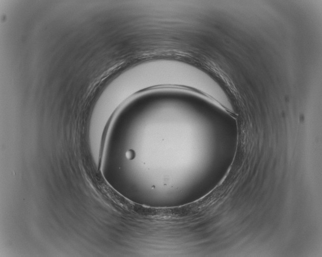 X0000085220356200703231538