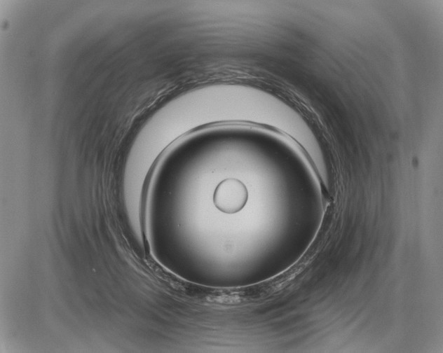 X0000085220362200703231538