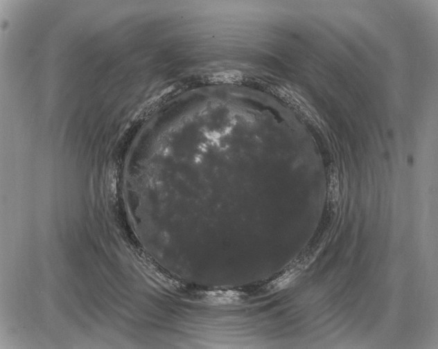 X0000085220363200703231538
