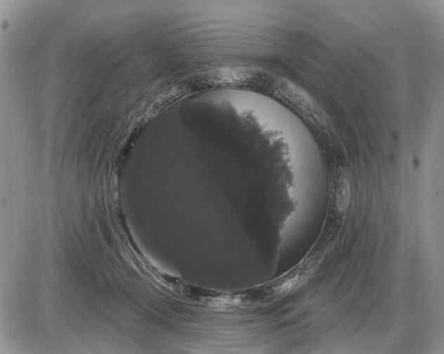 X0000085220366200703231539