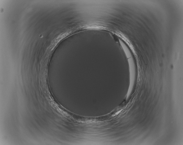 X0000085220385200703231538
