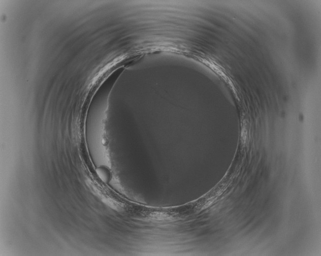 X0000085220390200703231538