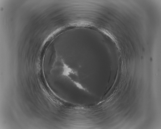 X0000085220392200703231538