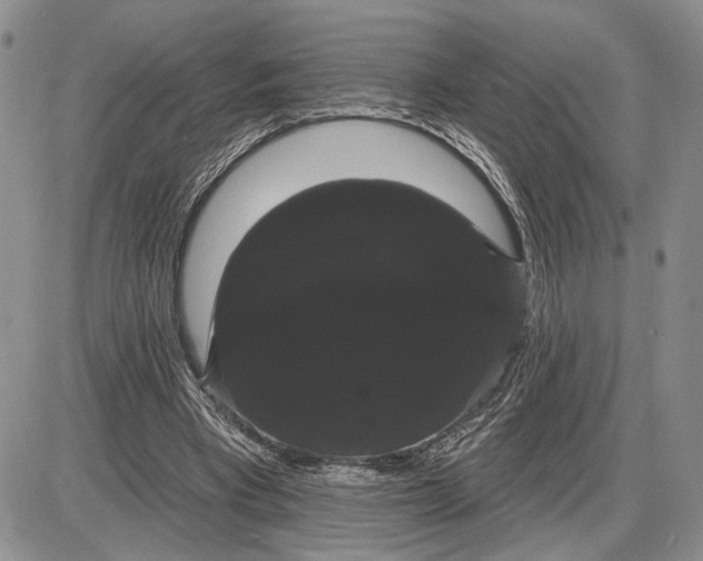 X0000085220393200703231538