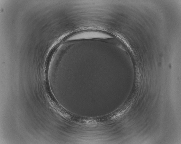 X0000085220395200703231538