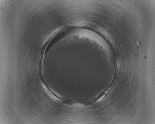 X0000085220397200703231538