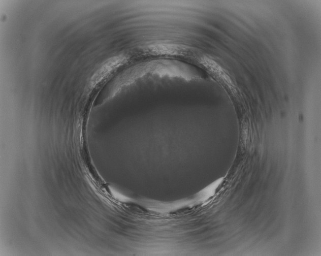 X0000085220398200703231538