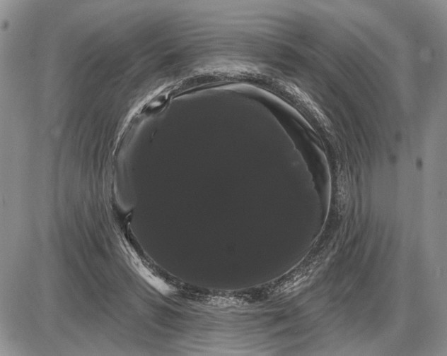 X0000085220399200703231538