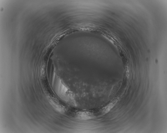 X0000085220408200703231538