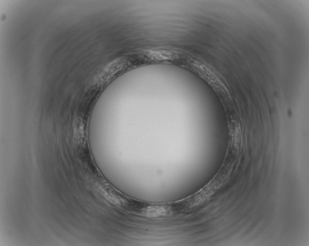 X0000085220418200703231537