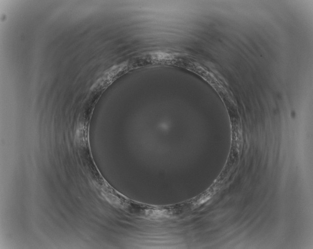 X0000085220419200703231537