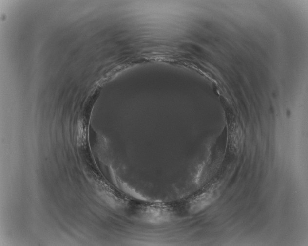 X0000085220420200703231537