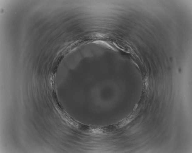 X0000085220423200703231537