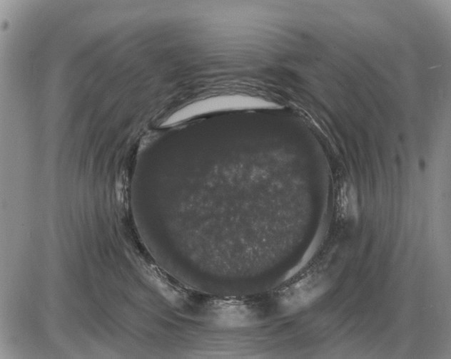 X0000085220424200703231537