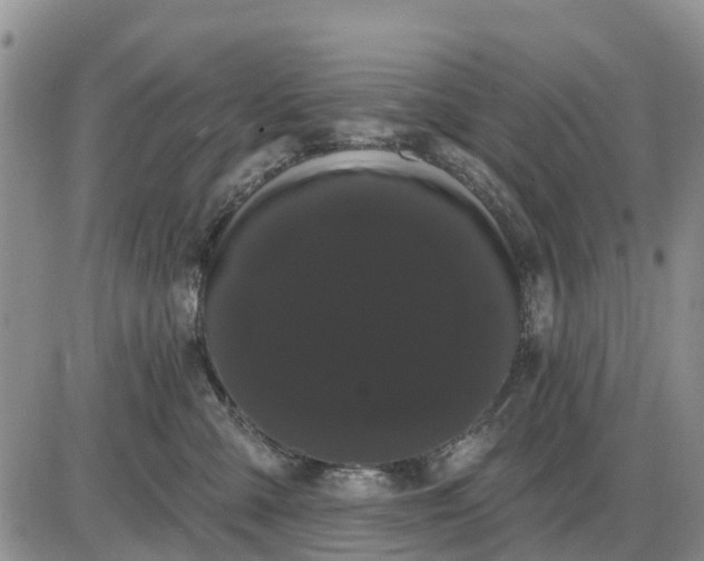 X0000085220427200703231537