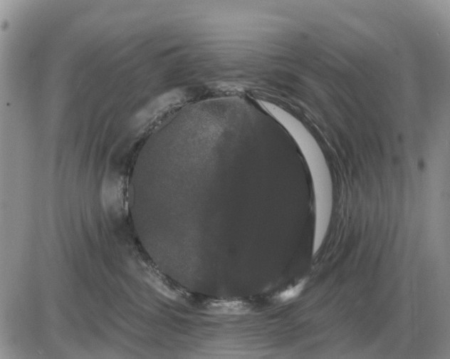 X0000085220428200703231537