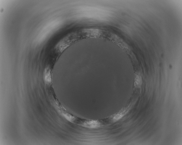 X0000085220431200703231537