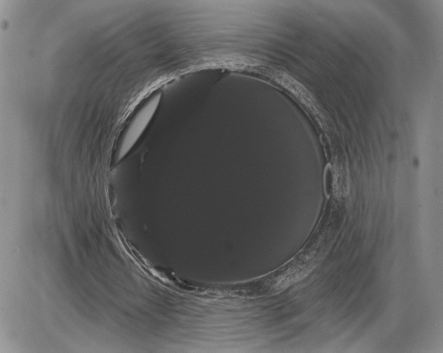 X0000085220434200703231536