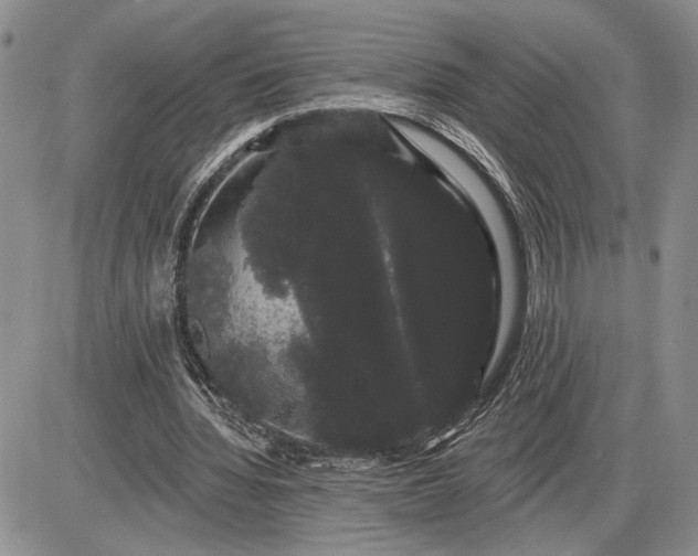 X0000085220436200703231536