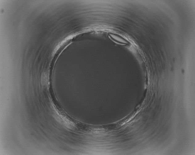 X0000085220438200703231537