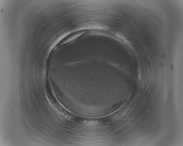 X0000085220440200703231537