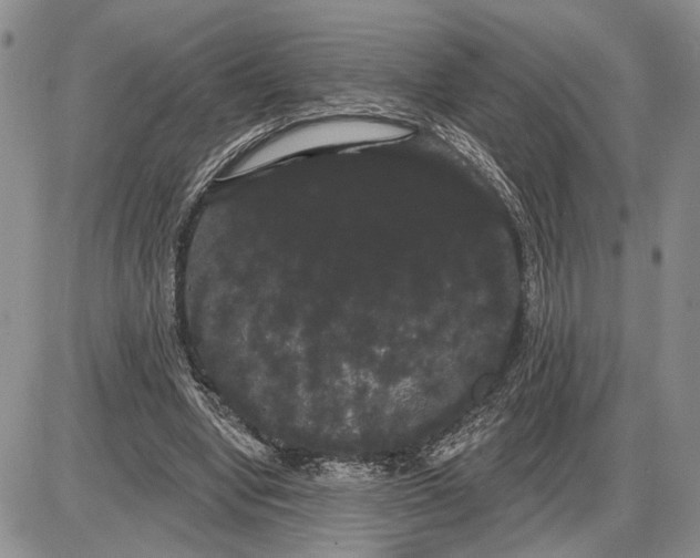 X0000085220442200703231537