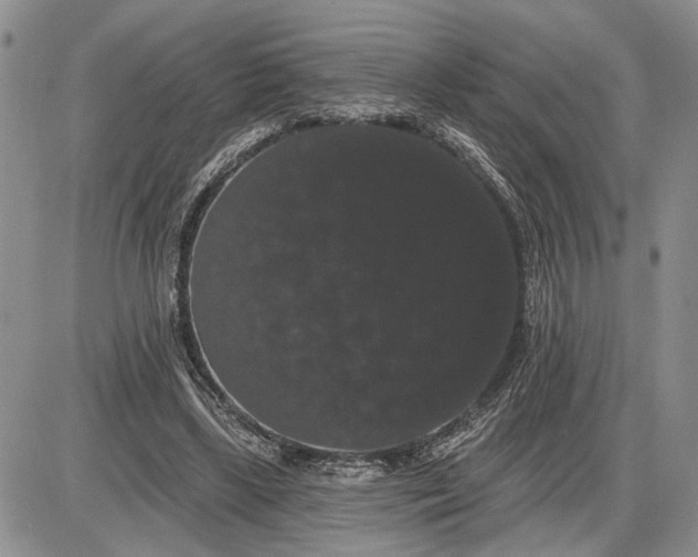 X0000085220443200703231537