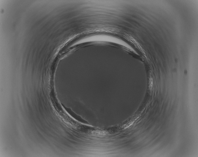 X0000085220444200703231537