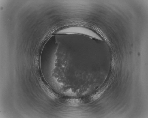 X0000085220449200703231537
