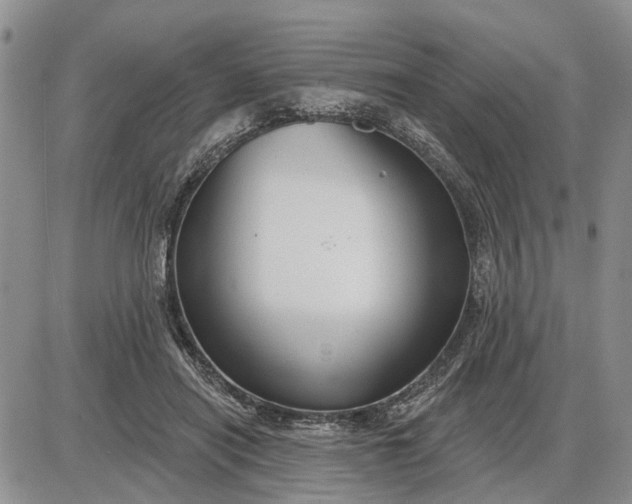 X0000085220454200703231537