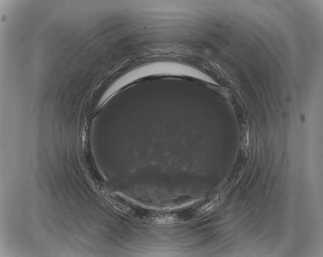 X0000085220456200703231537