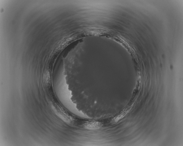 X0000085220459200703231537