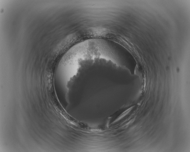 X0000085220462200703231537