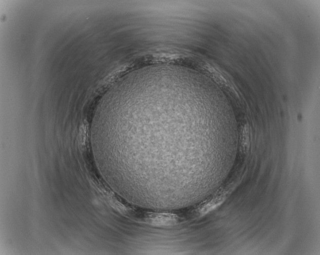 X0000085220463200703231537