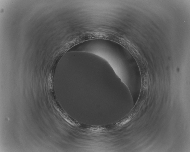 X0000085220465200703231537