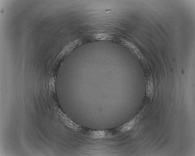 X0000085220473200703231537