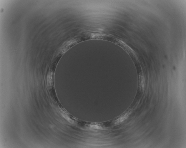 X0000085220475200703231537