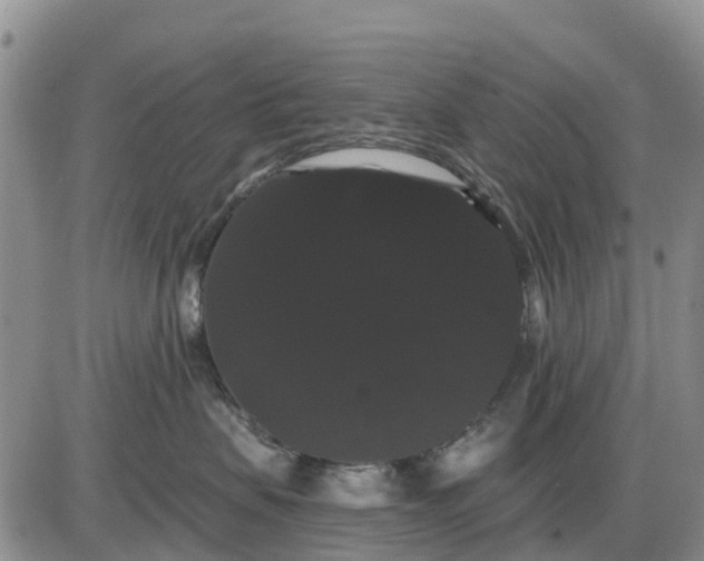 X0000085220479200703231537