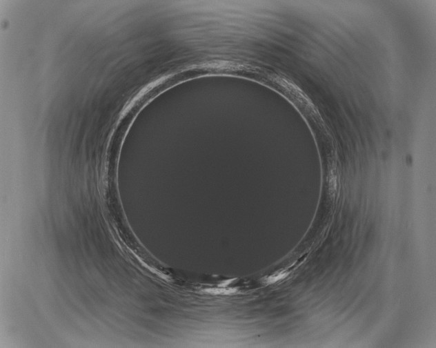 X0000085220484200703231536