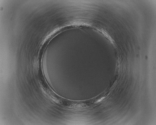 X0000085220488200703231536