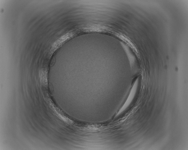 X0000085220489200703231536