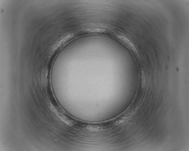 X0000085220490200703231536
